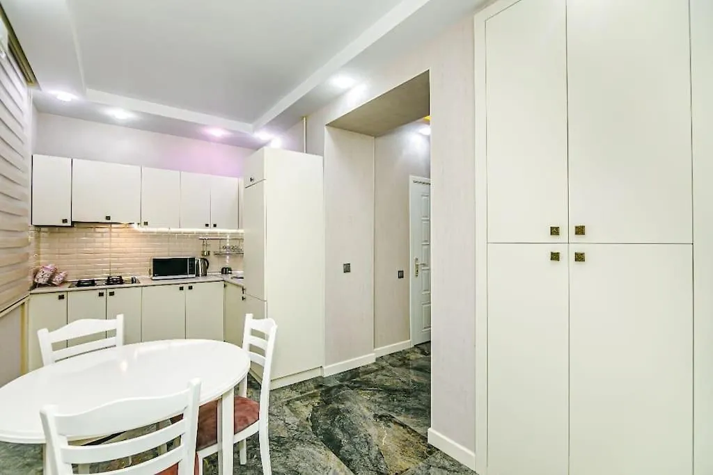 Great House In The Center Apartman Baku